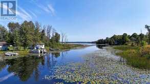 45 KING STREET | Rideau Lakes Ontario | Slide Image Fifty