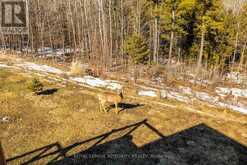 3052 STONERIDGE ROAD | Ottawa Ontario | Slide Image Thirty-seven