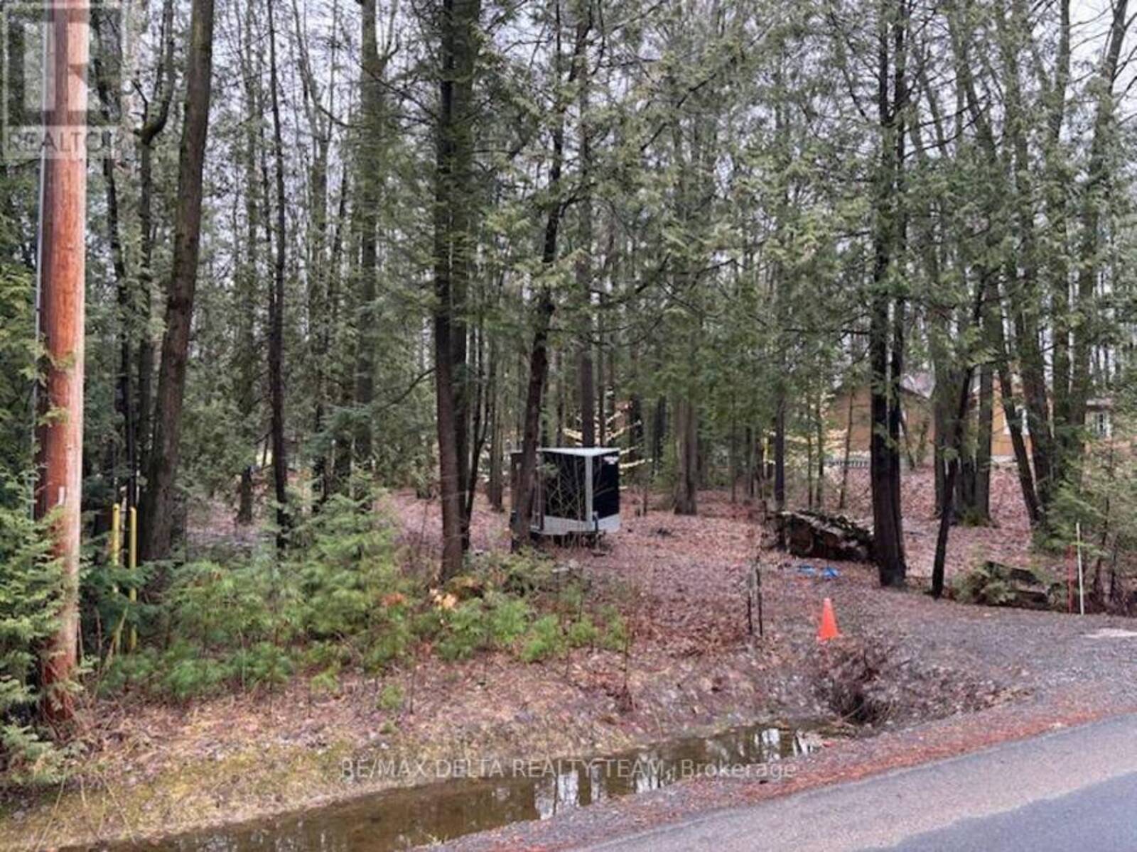 LOT 2 CONCESSION 5 ROAD, Alfred and Plantagenet, Ontario K0B 1L0