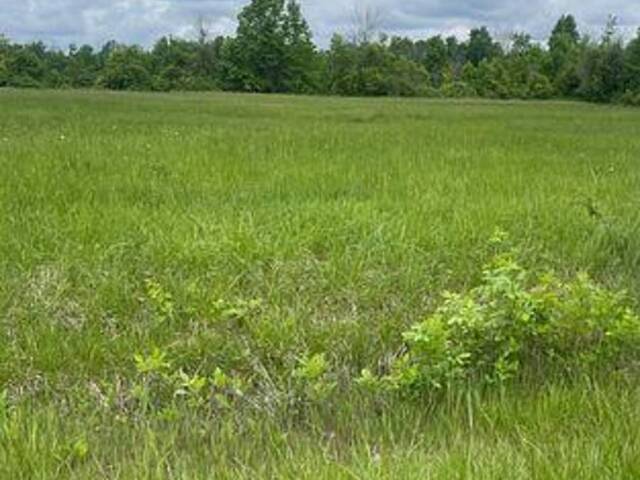3447 DONNELLY DRIVE Ottawa Ontario, K0G 1J0 - Vacant Land For Sale