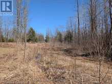 0 SAND LAKE ROAD | Rideau Lakes Ontario | Slide Image Eleven