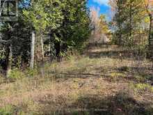 304 LACOURSE LANE | Lanark Highlands Ontario | Slide Image Two