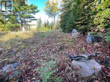304 LACOURSE LANE | Lanark Highlands Ontario | Slide Image Nine