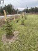 5166 LOGGERS WAY | Kinburn Ontario | Slide Image Fifteen