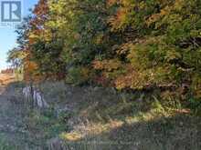 00 HIGHWAY 15 ROAD | Rideau Lakes Ontario | Slide Image Twenty-one