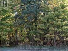 00 HIGHWAY 15 ROAD | Rideau Lakes Ontario | Slide Image Twenty-two
