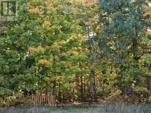 00 HIGHWAY 15 ROAD | Rideau Lakes Ontario | Slide Image Two