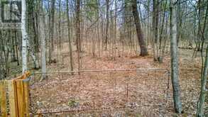 0 HIGHWAY 15 ROAD | Rideau Lakes Ontario | Slide Image Eight