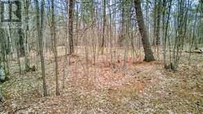 0 HIGHWAY 15 ROAD | Rideau Lakes Ontario | Slide Image Nine
