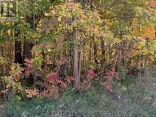 0 HIGHWAY 15 ROAD | Rideau Lakes Ontario | Slide Image Sixteen