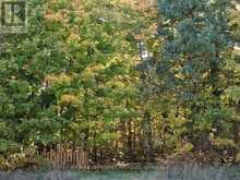 0 HIGHWAY 15 ROAD | Rideau Lakes Ontario | Slide Image One