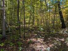 0 HIGHWAY 15 ROAD | Rideau Lakes Ontario | Slide Image Two