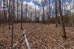 00 MAHON ROAD | Rideau Lakes Ontario | Slide Image Seventeen