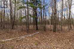 00 MAHON ROAD | Rideau Lakes Ontario | Slide Image Twenty