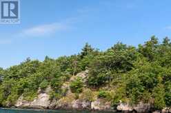 1 LITTLE GRENADIER ISLAND | Mallorytown Ontario | Slide Image Thirty-seven