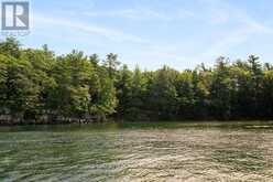 1 LITTLE GRENADIER ISLAND | Mallorytown Ontario | Slide Image Thirty-eight