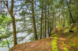 1 LITTLE GRENADIER ISLAND | Mallorytown Ontario | Slide Image Thirty-nine