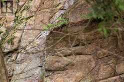 1 LITTLE GRENADIER ISLAND | Mallorytown Ontario | Slide Image Forty-two