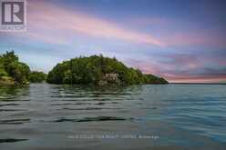 1 LITTLE GRENADIER ISLAND | Mallorytown Ontario | Slide Image Forty-nine