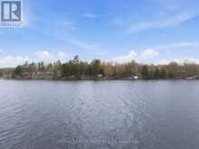 69 O2 OTTER LAKE ROAD | Rideau Lakes Ontario | Slide Image Thirty-three