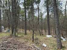 PART LOT 26 HIGHWAY 36 ROAD | Westport Ontario | Slide Image Fourteen