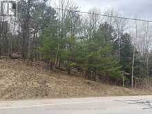 PART LOT 26 HIGHWAY 36 ROAD | Westport Ontario | Slide Image Sixteen