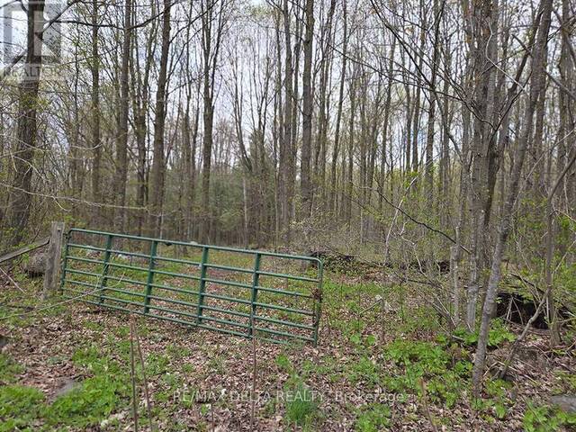 000 CONCESSION 5 ROAD Alexandria Ontario, K0C 1A0 - Vacant Land For Sale