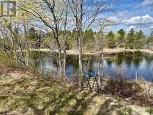 11537 COUNTY ROAD 38 ROAD | South Frontenac Ontario | Slide Image Nine