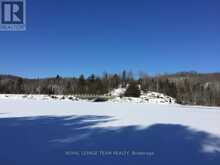 9687 MISSISSIPPI RIVER | North Frontenac Ontario | Slide Image Fifty