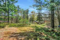 104 TALL FOREST DRIVE | Ottawa Ontario | Slide Image Forty-three