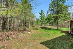 104 TALL FOREST DRIVE | Ottawa Ontario | Slide Image Forty-six