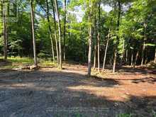 2456 CONC DALHOUSIE CONCESSION | Lanark Ontario | Slide Image One