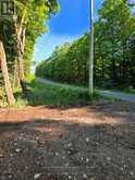 2456 CONC DALHOUSIE CONCESSION | Lanark Ontario | Slide Image Two