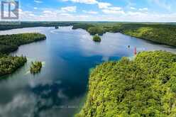 2275 PALMERSTON LAKE | North Frontenac Ontario | Slide Image Forty-nine