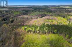 320 CLARENCE CAMBRIDGE ROAD | Russell Ontario | Slide Image Twelve