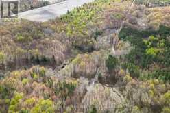 320 CLARENCE CAMBRIDGE ROAD | Russell Ontario | Slide Image Five