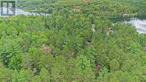 H10 - 240 PINEWOOD PARK ROAD | Whitewater Region Ontario | Slide Image Thirty-four