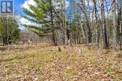 621 NORTH SHORE Road | Lanark Highlands Ontario | Slide Image Thirty-three