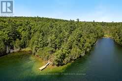 000 PALMERSTON LAKE | North Frontenac Ontario | Slide Image Twelve