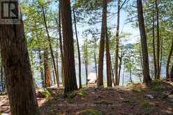 000 PALMERSTON LAKE | North Frontenac Ontario | Slide Image Fifteen