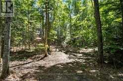 000 PALMERSTON LAKE | North Frontenac Ontario | Slide Image Twenty-four
