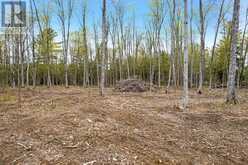 3776 BUCKSHOT LAKE ROAD | North Frontenac Ontario | Slide Image Thirteen