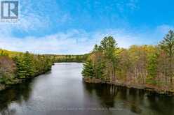 3776 BUCKSHOT LAKE ROAD | North Frontenac Ontario | Slide Image Five