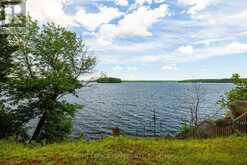 LOT 3 BIG RIDEAU NORTH SHORE ROAD | Perth Ontario | Slide Image Twelve