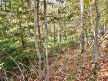 LOT 1 WOODLAND PARK DRIVE | Arden Ontario | Slide Image Two