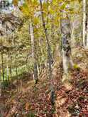 LOT 1 WOODLAND PARK DRIVE | Arden Ontario | Slide Image Four