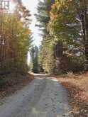 LOT 1 WOODLAND PARK DRIVE | Arden Ontario | Slide Image Six