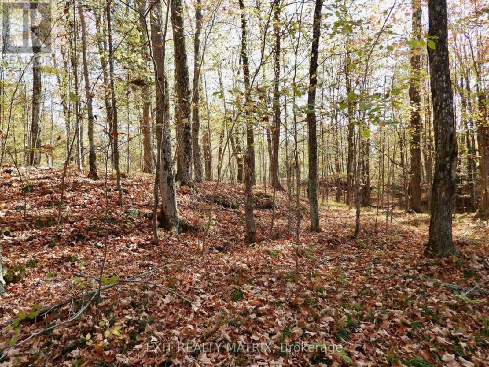 LOT 1 WOODLAND PARK DRIVE, Arden, Ontario K0H 1B0