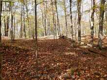LOT 2 WOODLAND PARK DRIVE | Arden Ontario | Slide Image Five