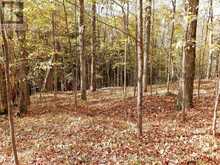 LOT 2 WOODLAND PARK DRIVE | Arden Ontario | Slide Image Six